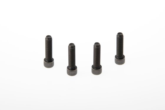 SPORTSTER 1200 (2016 - 2018) triple clamp screws xl | CULT WERK