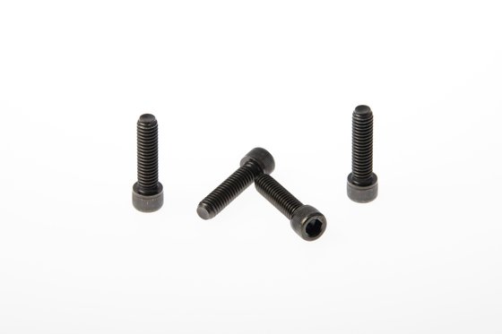 SPORTSTER 1200 (2016 - 2018) triple clamp screws xl | CULT WERK