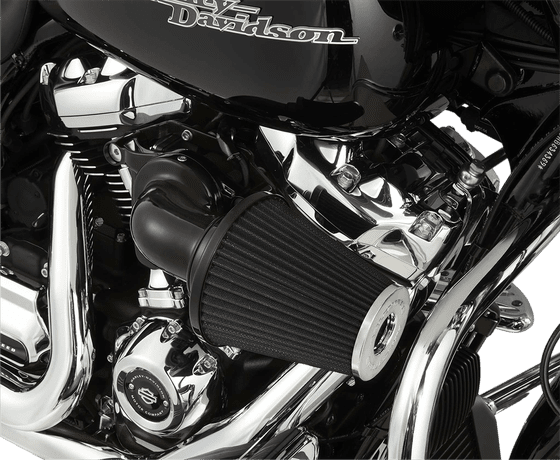 ROAD KING CLASSIC (1999 - 2016) monster black air cleaner kit | ARLEN NESS