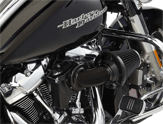 DYNA LOW RIDER (2014 - 2017) monster black air cleaner kit | ARLEN NESS