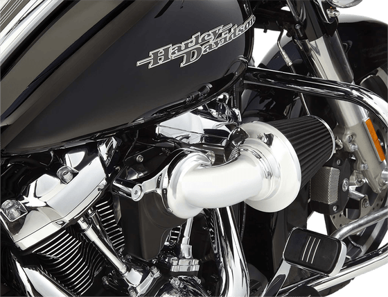 DYNA FAT BOB (2008 - 2017) monster chrome air cleaner kit | ARLEN NESS