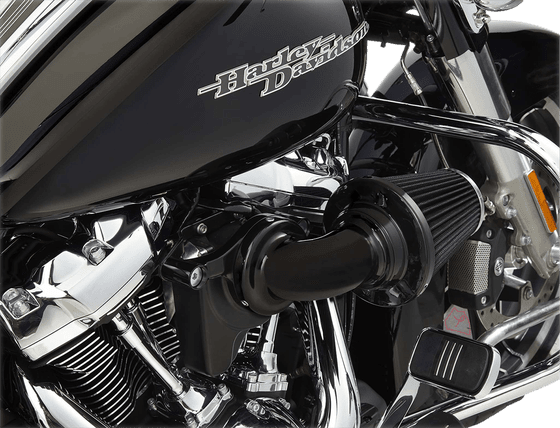 SOFTAIL CROSS BONES (2008 - 2011) monster black air cleaner kit | ARLEN NESS