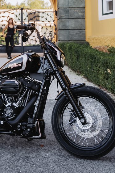 HERITAGE SOFTAIL CLASSIC (2018 - 2022) spoiler bobber raw frame cover | CULT WERK