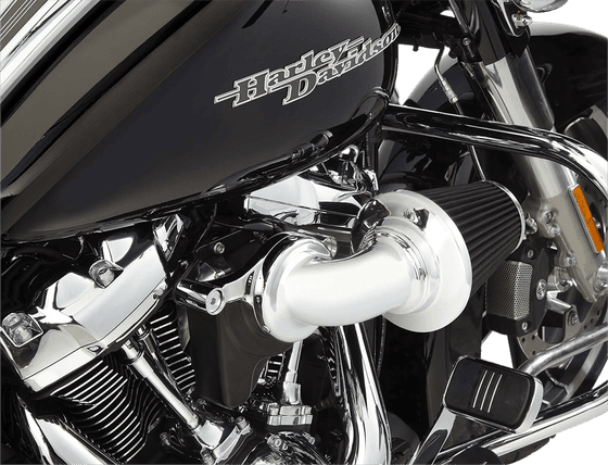 SPORTSTER 1200 (1991 - 2003) monster chrome air cleaner kit | ARLEN NESS