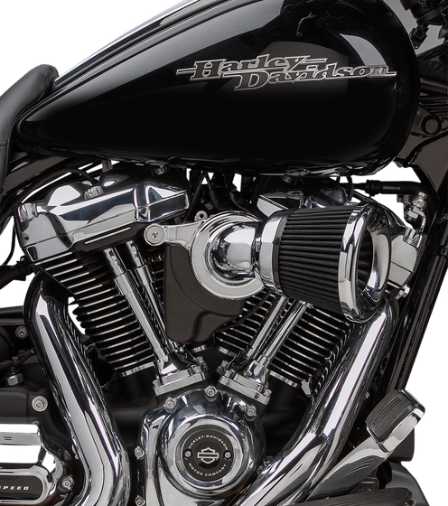 HERITAGE SOFTAIL CLASSIC (2018 - 2022) chrome air cleaner for flh motorcycles | ARLEN NESS