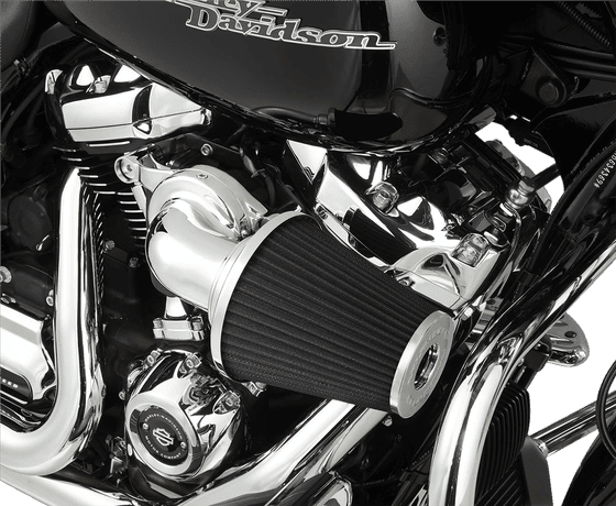 HERITAGE SOFTAIL CLASSIC (2015 - 2017) monster chrome air cleaner kit | ARLEN NESS