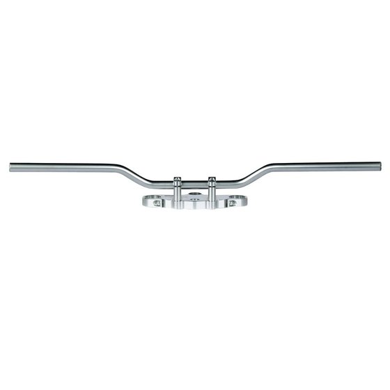 HERITAGE SOFTAIL CLASSIC (1987 - 2015) speedfighter handlebar | TRW