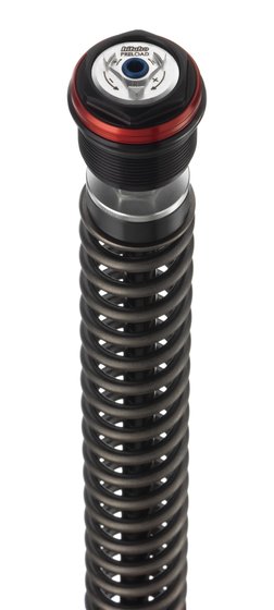 SPORTSTER 883 CUSTOM (2004 - 2010) front shocks for harley-davidson softail | BITUBO S.R.L.