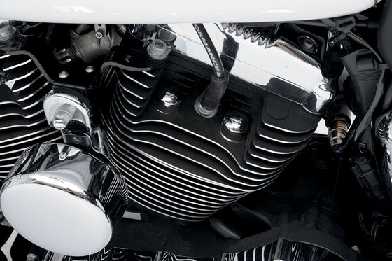 Sportster 883 (2005 - 2009) chrome head bolt covers | DRAG SPECIALTIES