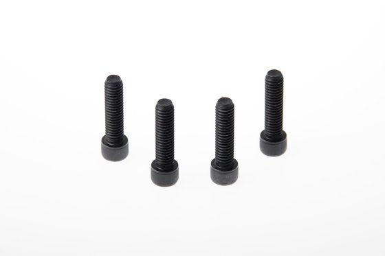 SPORTSTER 883 LOW (2015 - 2020) fork triple clamp screws | CULT WERK