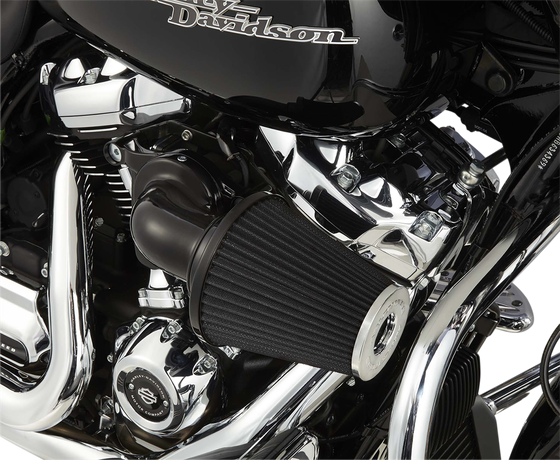 ROAD GLIDE LIMITED CLASSIC (2008 - 2010) monster black air cleaner kit | ARLEN NESS