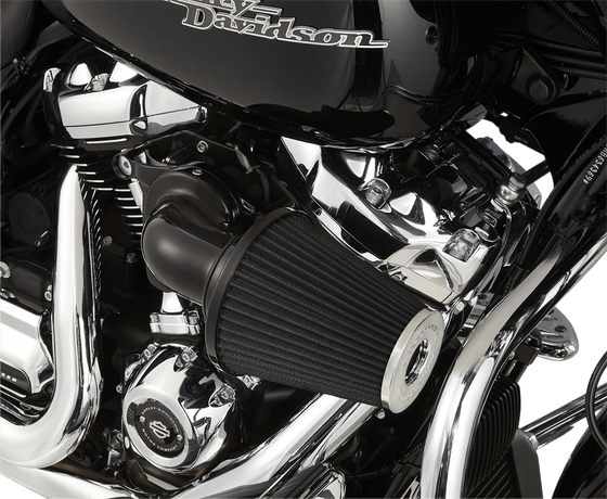 SOFTAIL BREAKOUT (2018 - 2022) monster black air cleaner kit | ARLEN NESS