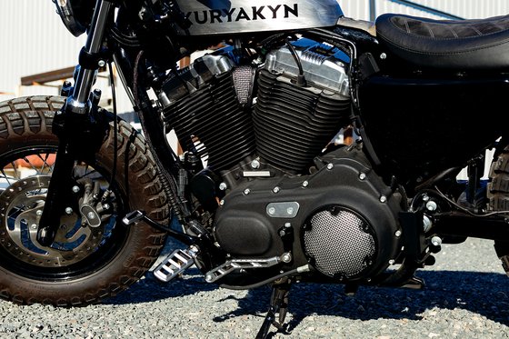 SPORTSTER 1200 IRON (2019 - 2021) riot fc sv shift linkage | KURYAKYN