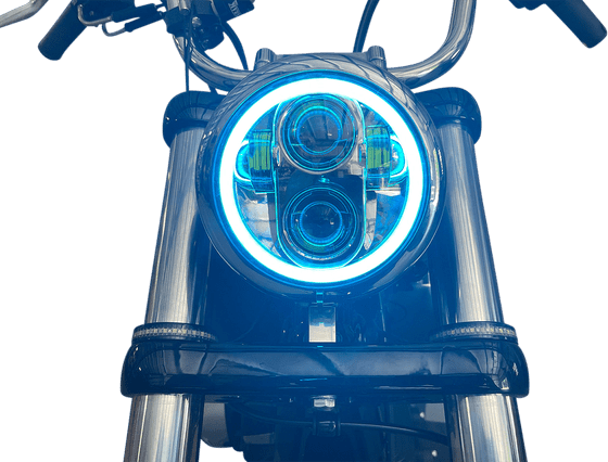 SPORTSTER 1100 (1986 - 1987) 5.75" halo headlight | CUSTOM DYNAMICS