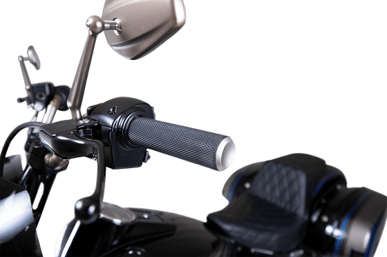 CVO SCREAMIN EAGLE DYNA (2008 - 2008) knurled titanium grips for tbw | ARLEN NESS