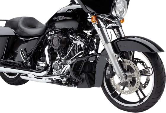 STREET GLIDE (2022 - 2022) fwy bar guard black for flh | COBRA