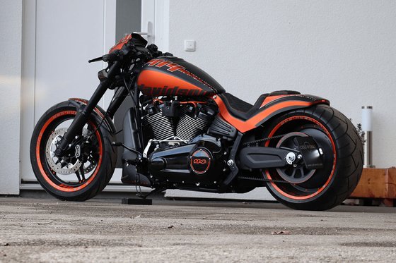 SOFTAIL DESTROYER (2019 - 2020) aus breakout license plate | CULT WERK