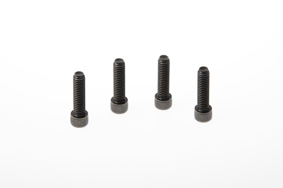 SPORTSTER FORTY-EIGHT (2010 - 2022) fender screws xl | CULT WERK