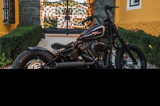 SOFTAIL STREET BOB (2018 - 2022) seat spring old school | CULT WERK