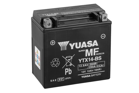 NIGHT ROD SPECIAL (2006 - 2008) maintenance-free replacement battery | YUASA