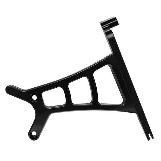 SPORTSTER FORTY-EIGHT (2021 - 2022) sport license plate frame | HEINZ BIKES