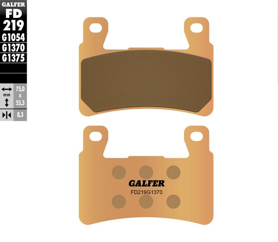 SOFTAIL FAT BOY (2018 - 2022) sintered ceramic brake pads | GALFER