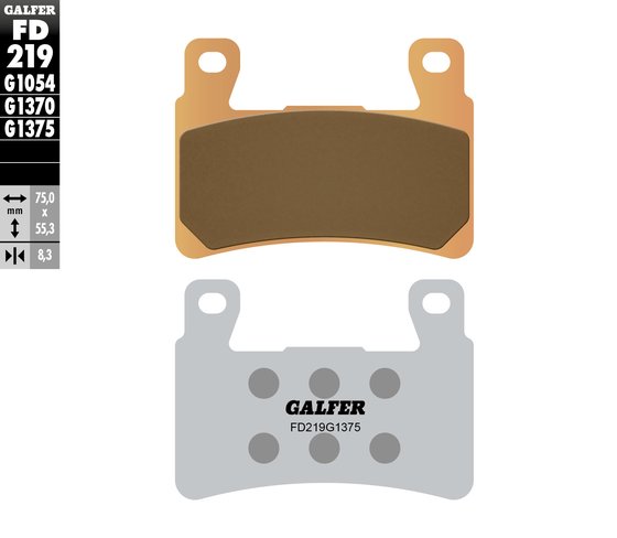 HERITAGE SOFTAIL CLASSIC (2018 - 2022) sintered ceramic brake pad | GALFER