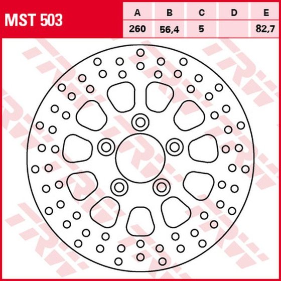 SPORTSTER 1200 LOW (2006 - 2011) rear brake disc | TRW