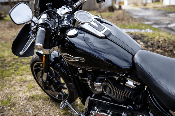 SPORTSTER 1200 CUSTOM (1996 - 2019) "v-cruiser" rankenos (chromuotos) | AVON GRIPS