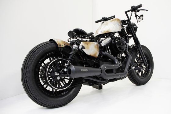 SPORTSTER IRON (2009 - 2022) sparno rinkinys su sėdynės laikikliu | CULT WERK