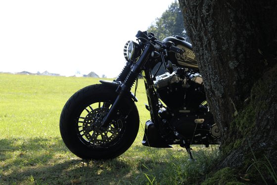 SPORTSTER FORTY-EIGHT (2010 - 2022) priekinių žibintų grotelės kamikaze | CULT WERK