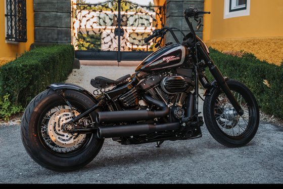 SOFTAIL STREET BOB (2018 - 2022) rėmo dangtelis, skirtas išlaužimui | CULT WERK