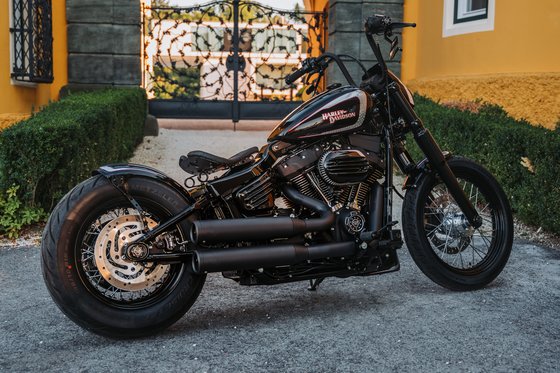 SOFTAIL STREET BOB (2018 - 2022) rėmo dangtelis, skirtas išlaužimui | CULT WERK