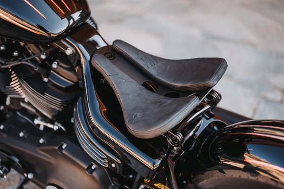 SOFTAIL STREET BOB (2018 - 2022) frame cover for breakout | CULT WERK