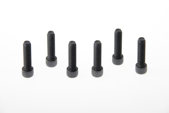 SPORTSTER 883 LOW (2016 - 2020) fork triple clamp screws | CULT WERK