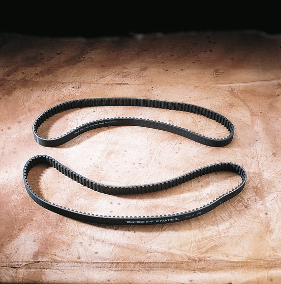 SPORTSTER 1200 SPORT (1996 - 2003) panther rear drive belt | PANTHER